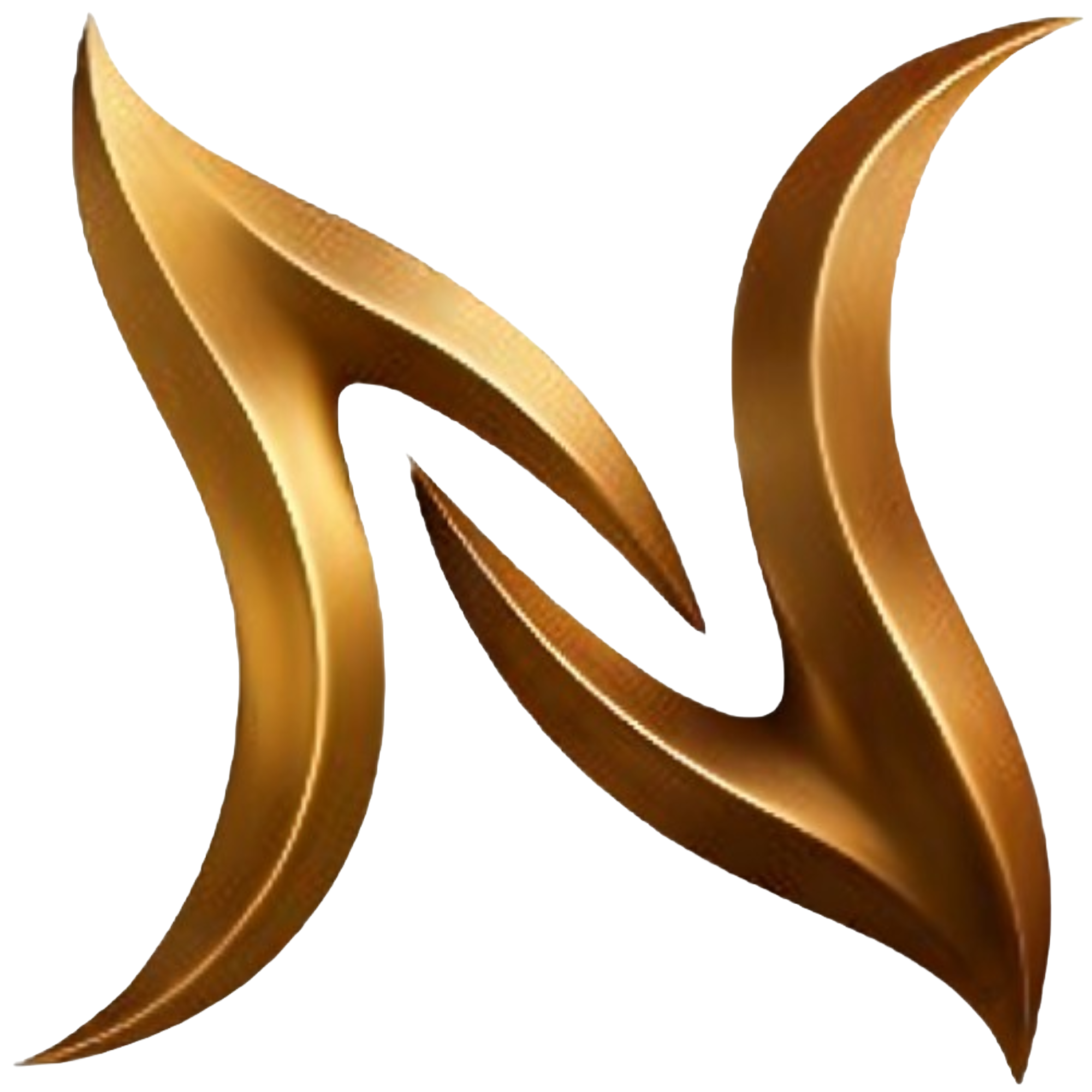 NIARA GROUP Logo